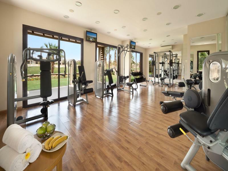 ジャズ リトル ヴェニス ゴルフ リゾート アインソフナ エクステリア 写真 The gym at the resort